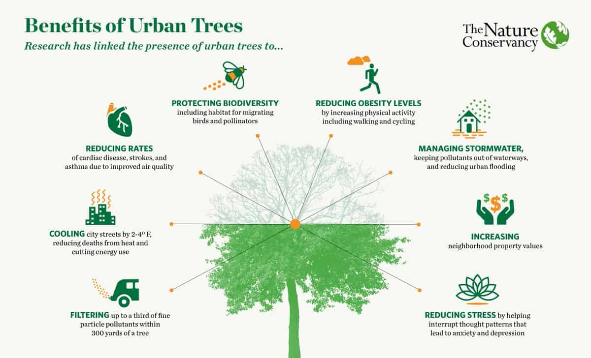 benefits of urban trees diagram